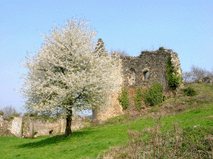 tour du Belv&eacute;d&egrave;re vue de la cour basse