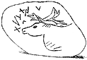 gravure de renne sur galet inscrit